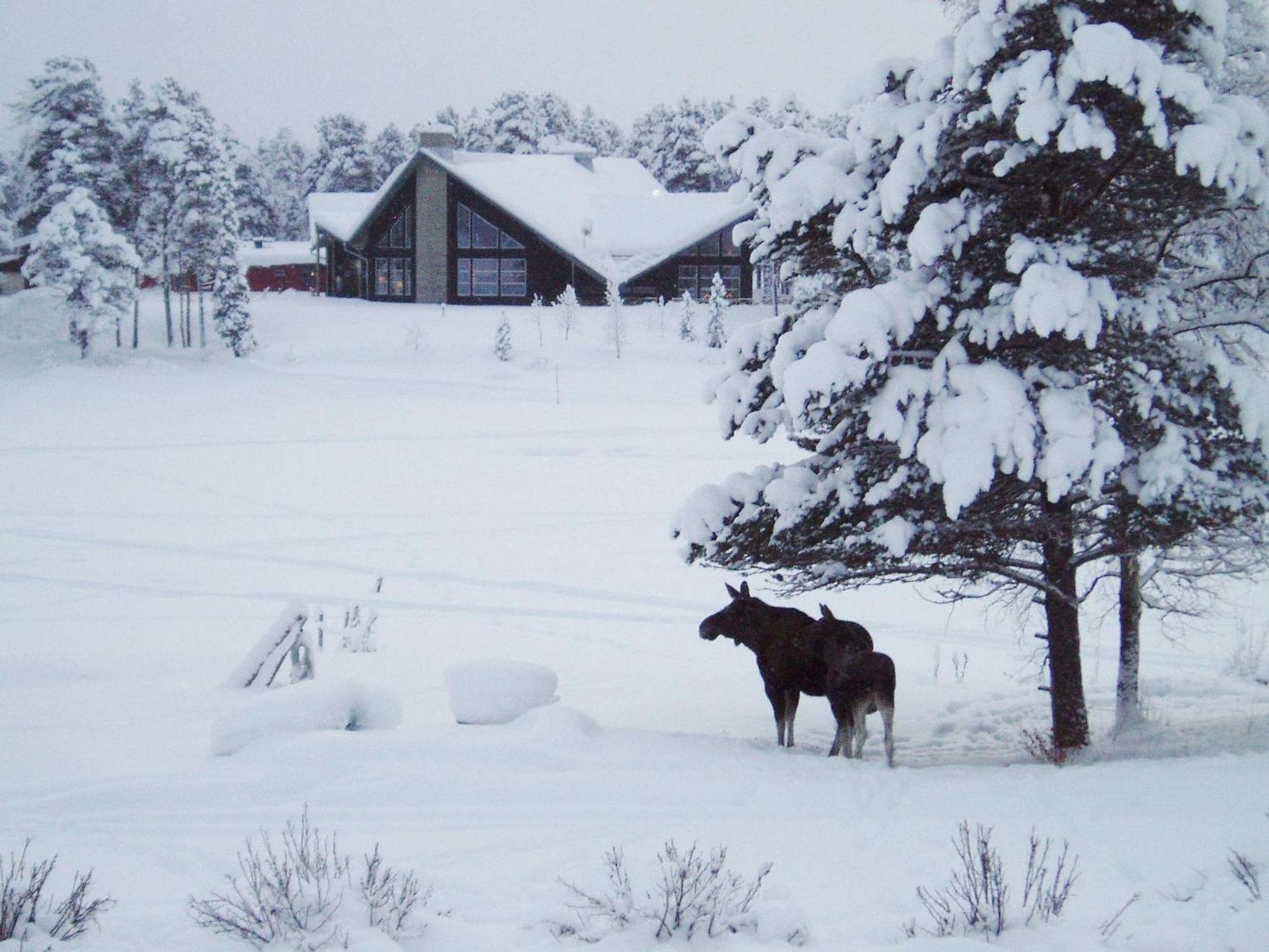 Arrenjarka Mountain Lodge Kvikkjokk Dış mekan fotoğraf